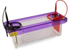 Cleaver Scientific Electrophoresis multiSUB-4 multi level