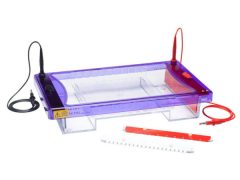 Cleaver Scientific Electrophoresis multiSUB maxi