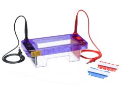 multiSUB-Mini-Mini-Horizontal-Electrophoresis