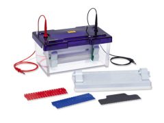 Cleaver Scientific Electrophoresis omniPAGE mini wide
